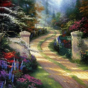 WP00074 Фотообои Verol Фотообои decoline 1х1 м