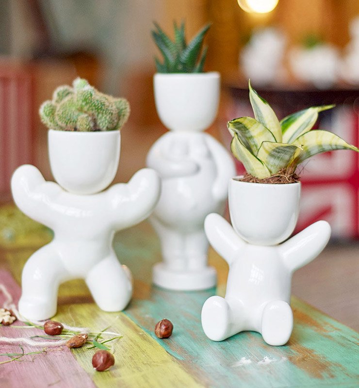 Набор для выращивания eco "Атлет" ЭКОЧЕЛОВЕКИ  254567 Белый  - Вид №1