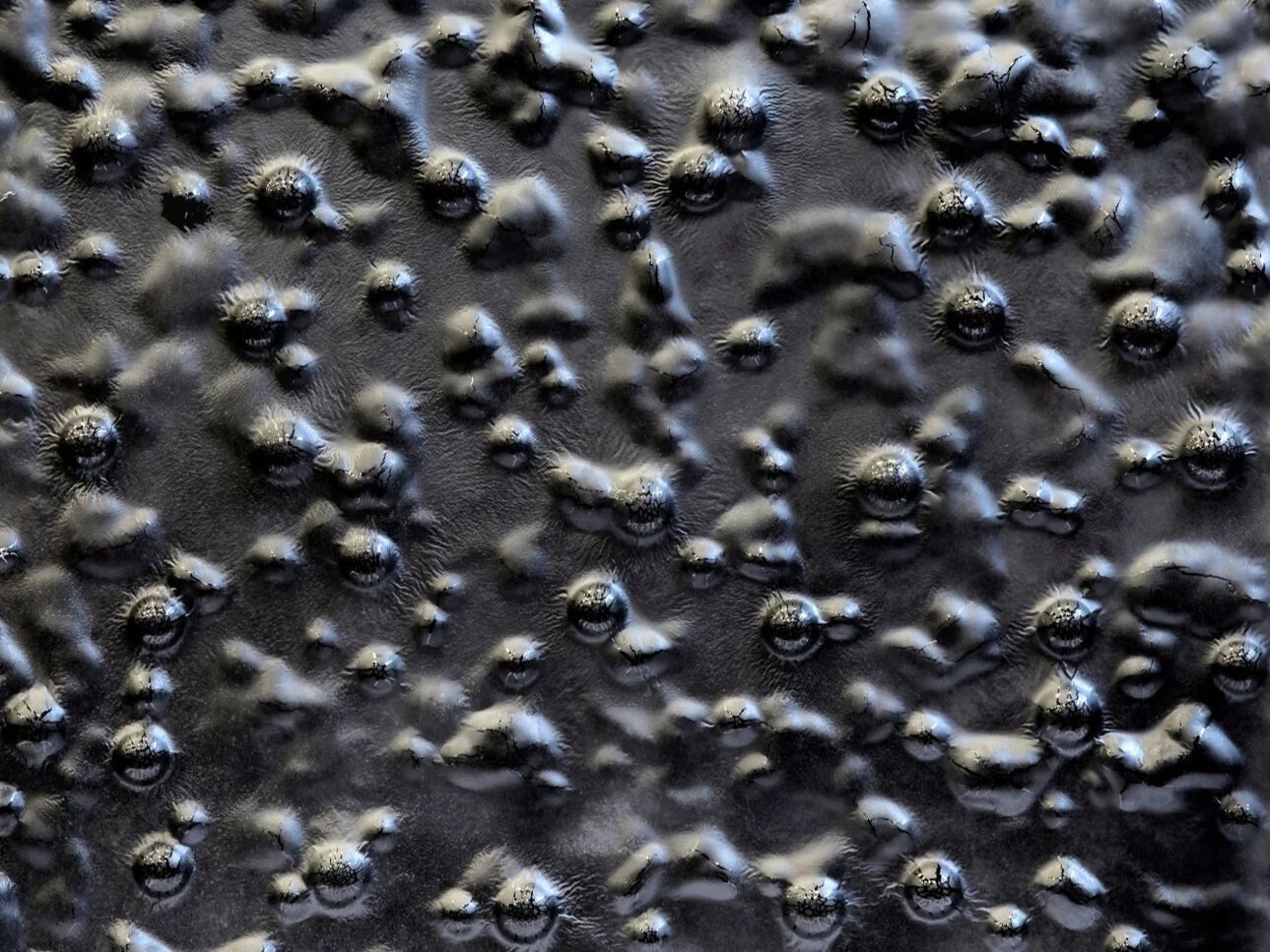 Декоративная стеклянная панель PlusObject CUPRUM O ARCH-00050994