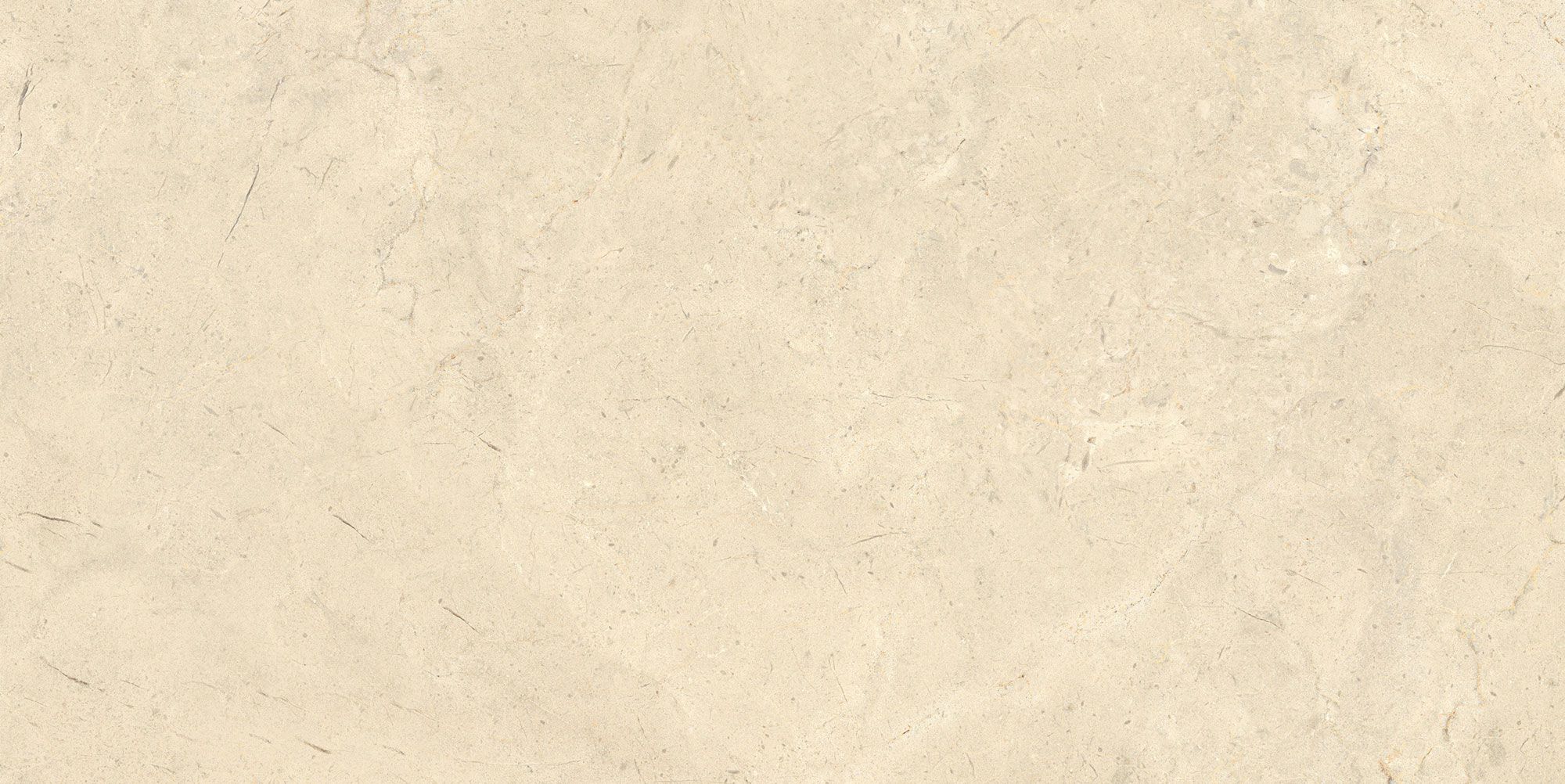 Пол / облицовка керамогранита с эффектом камня Italgraniti Calcis ARCH-00068879 - Вид №31