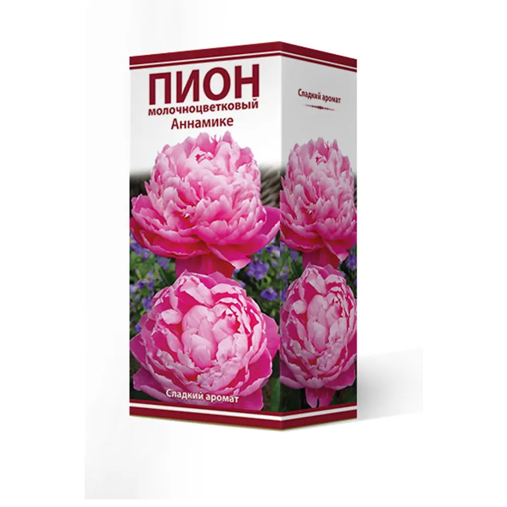Пион молочноцветковый «Аннамике», высота 50 см, 1 шт. 82000238 STLM-2062972 Santreyd 