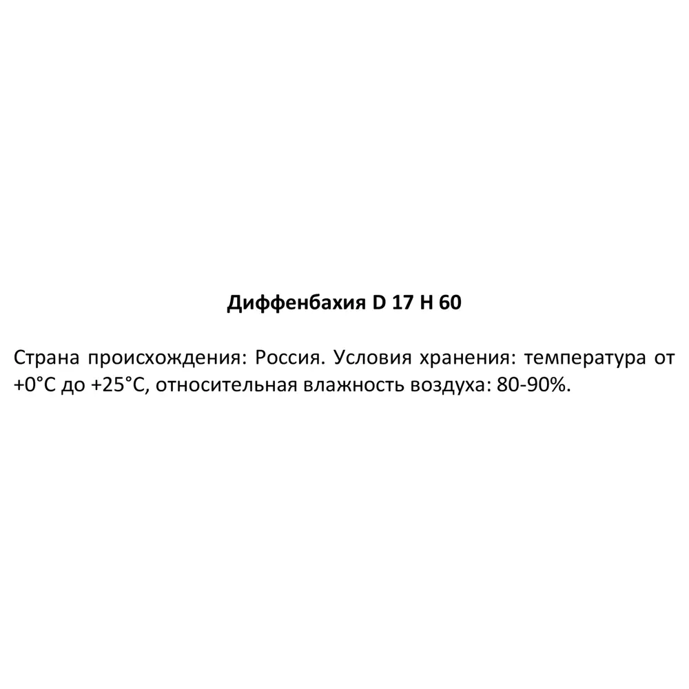 Диффенбахия Santreyd с кремовыми листьями в горшке ø17 h60 см 87959830 STLM-0076386 - Вид №3