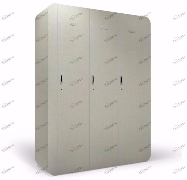 FIT INTERIORS Деревянный шкаф I-d sun-id-1435945