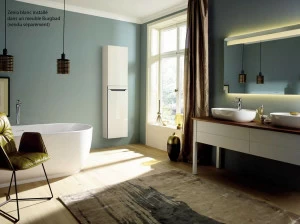 Электрический радиатор AZNRB-100-045 Zénia Acova 1000