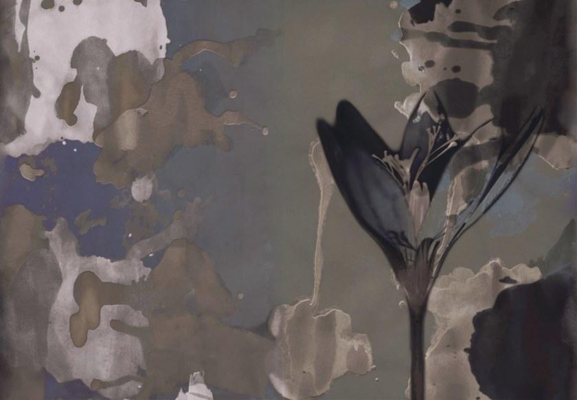 Wall&decò Экологические огнестойкие обои с цветочными мотивами Contemporary wallpaper 2020 Wdde200 - Вид №1