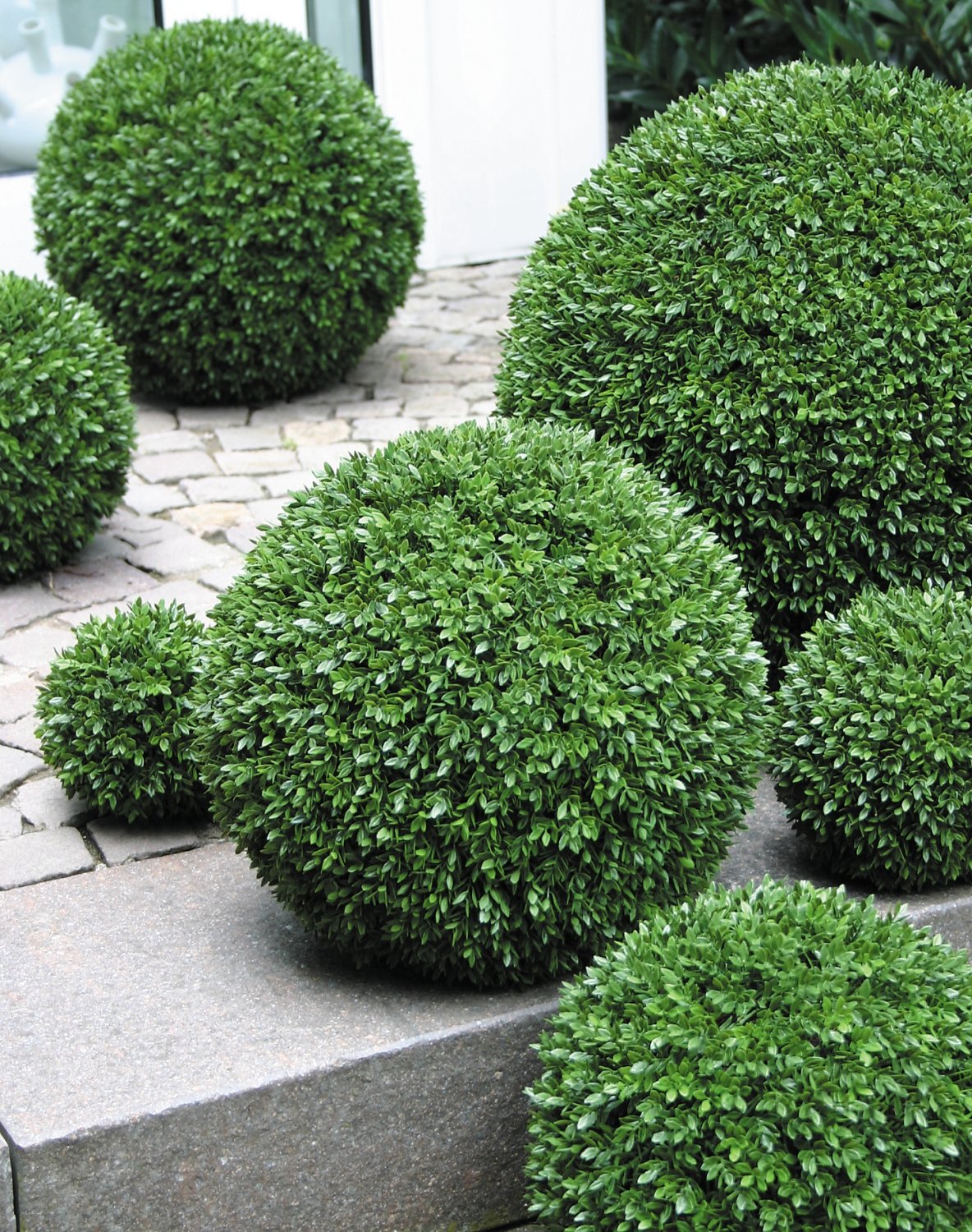 4976 883 a3 Искусственный шар самшит, синтетический материал, Ø 40 см, зеленый H-andreas  - Вид №1