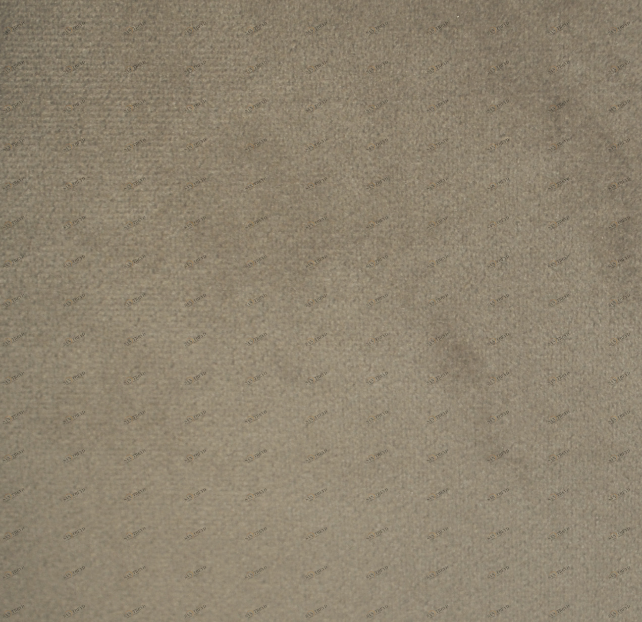 COLORISTICA Ткань мебельная  Микровелюр  HITSky velvet Бежевый Sky velvet col.09