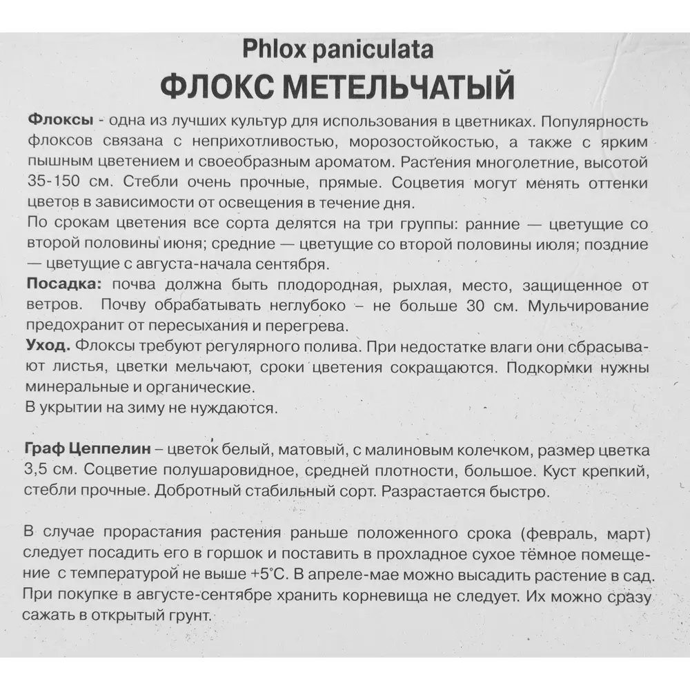 Флокс метельчатый Граф Цеппелин от Santreyd - белый с красным глазком 88294963 STLM-1395551 - Вид №2