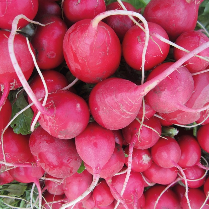 1289/CX38 Картина 1289 Adriani e Rossi  - Вид №1