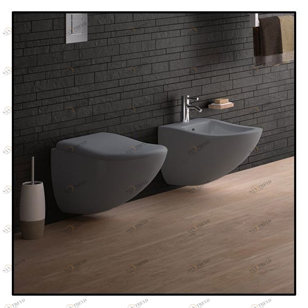 FLBSBR Биде подвесное FLUID Ceramica Cielo