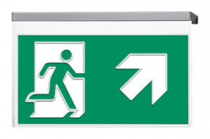 DST-2243 Vir-p Daisalux Светильники сигнальные Серебристо-Серый