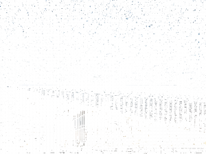 BEMO Система покрытия для крыш и фасадов