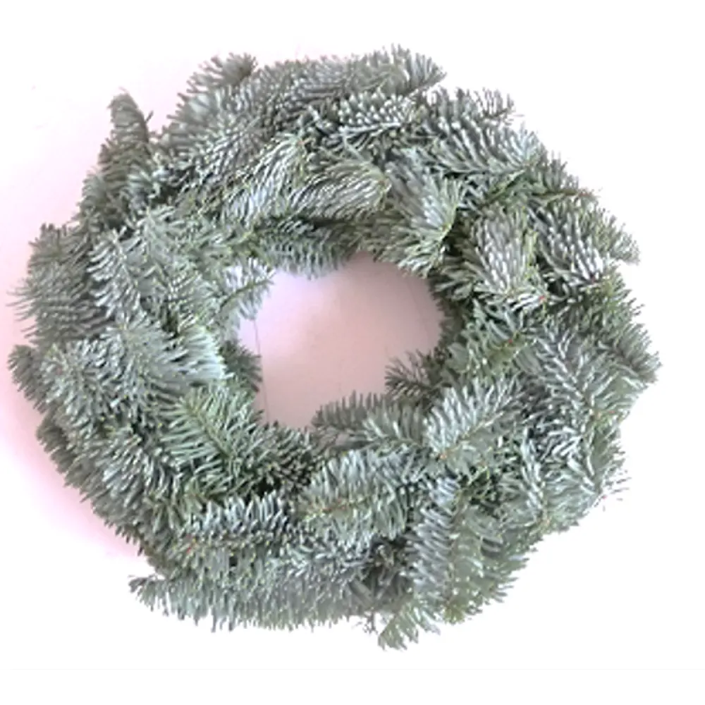 Венок рождественский №3 Santreyd STLM-2139489 - Вид №1