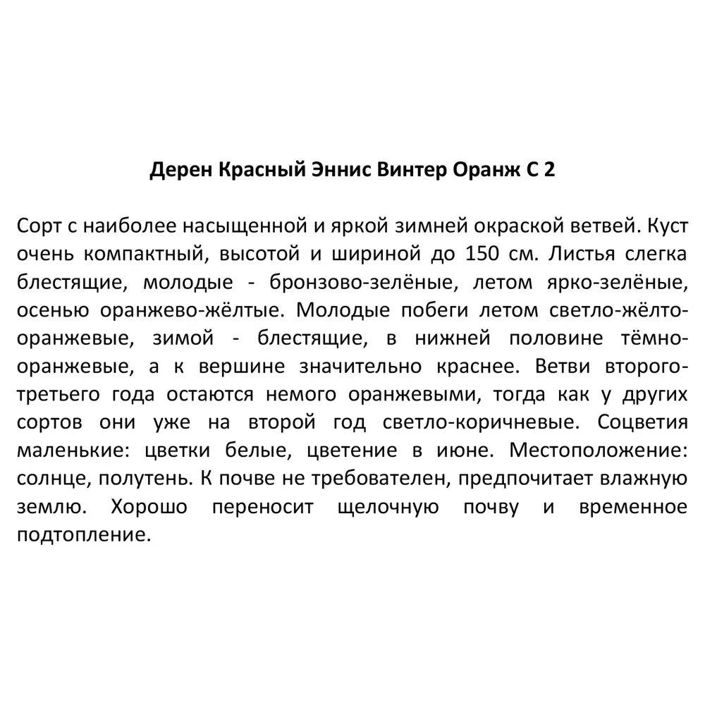 Santreyd Дёрен кроваво-красный - декоративный кустарник для живой изгороди 87811880 STLM-0075779 - Вид №2