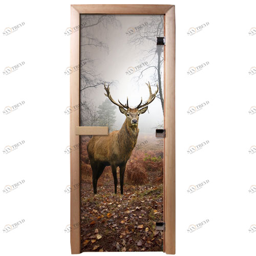 DoorWood Дверь с фотопечатью А080 5564