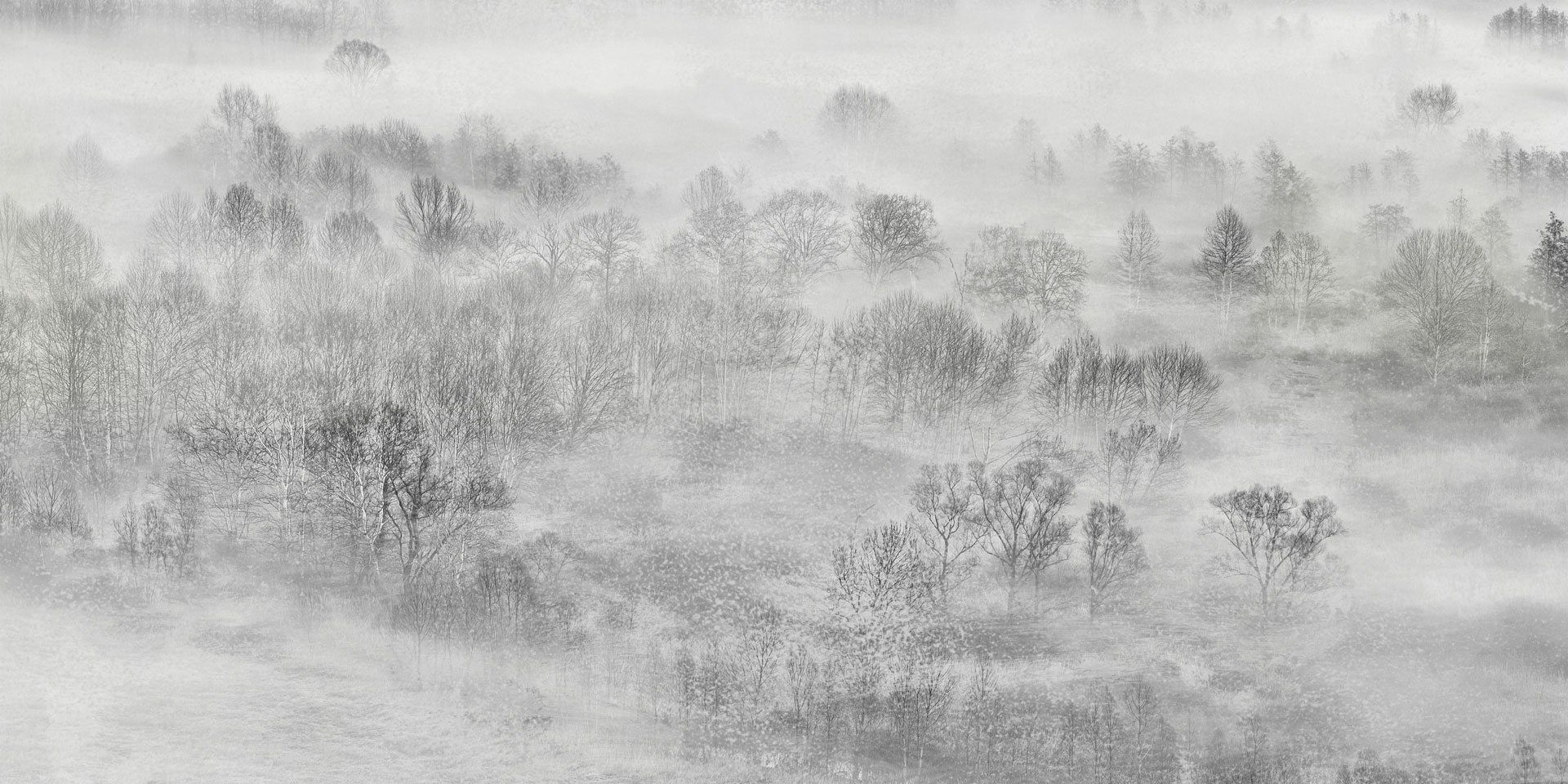 Панорамные обои с пейзажами Rimura 2020 ARCH-00044497 - Вид №2