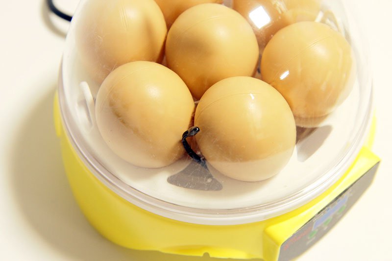 2003 Инкубатор для яиц Мини-7 LAB.Space  - Вид №2