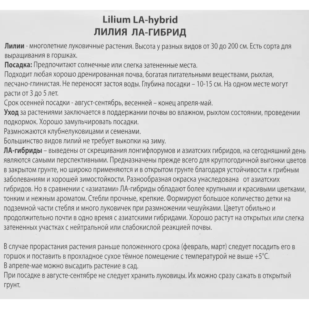 Лилия ла-гибрид Асоп 85205752 STLM-2200238 ПОИСК  - Вид №2