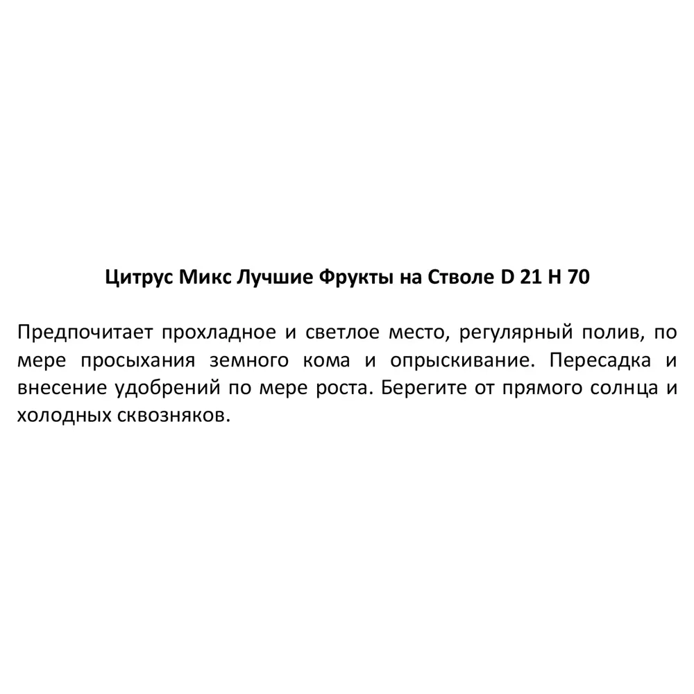 Santreyd Цитрус микс - комнатное цитрусовое дерево с плодами 86720719 STLM-0070946 - Вид №3