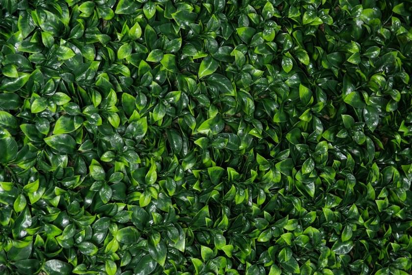 VGnewtrend Овощной каркас Vertical garden 1142347.60  - Вид №1