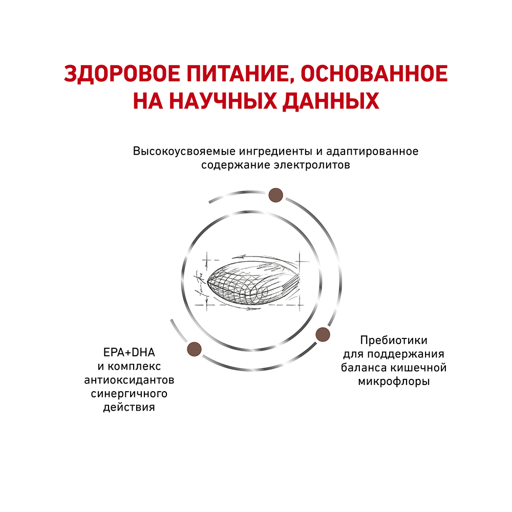 ПР0053522 Корм для кошек Vet Diet Gastro Intestinal Hairball Control при нарушении пищеварения сух. 2кг ROYAL CANIN  - Вид №2