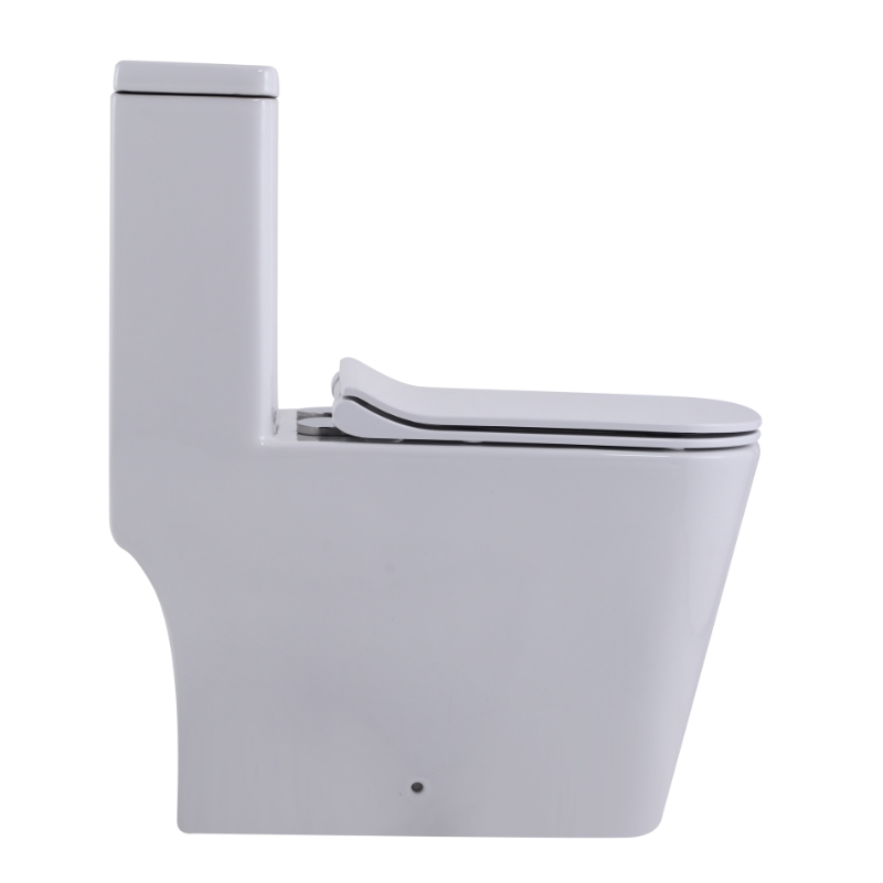 Унитазы-компакт SL-5024 SANTILINE  - Вид №4