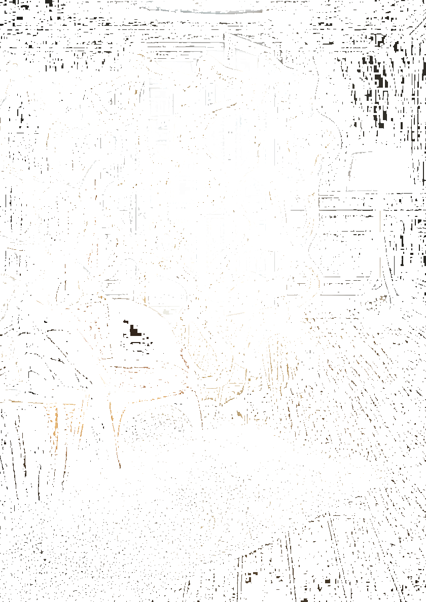 KARPA Перегородка из стекловолокна  K1370a/b  - Вид №3