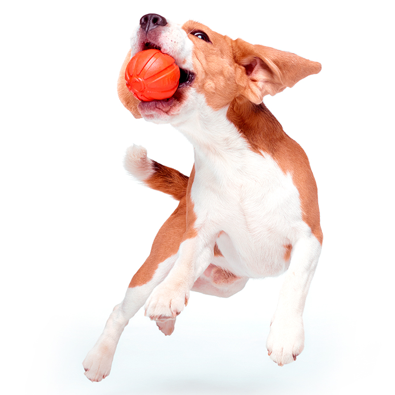 ПР0037776 Игрушка для собак 7 Мячик диаметр 7см LIKER  - Вид №1