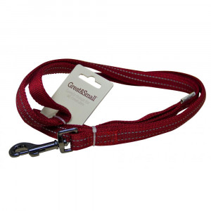 ПР0043602 Поводок для собак со светоотражающей острочкой 10х1200мм нейлон красный Great&Small