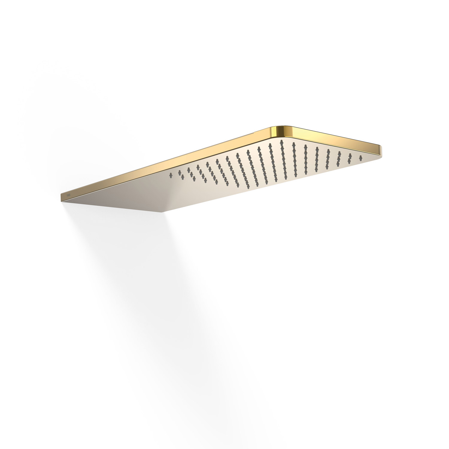 Настенная насадка для душа-29990307OR TRES Showers