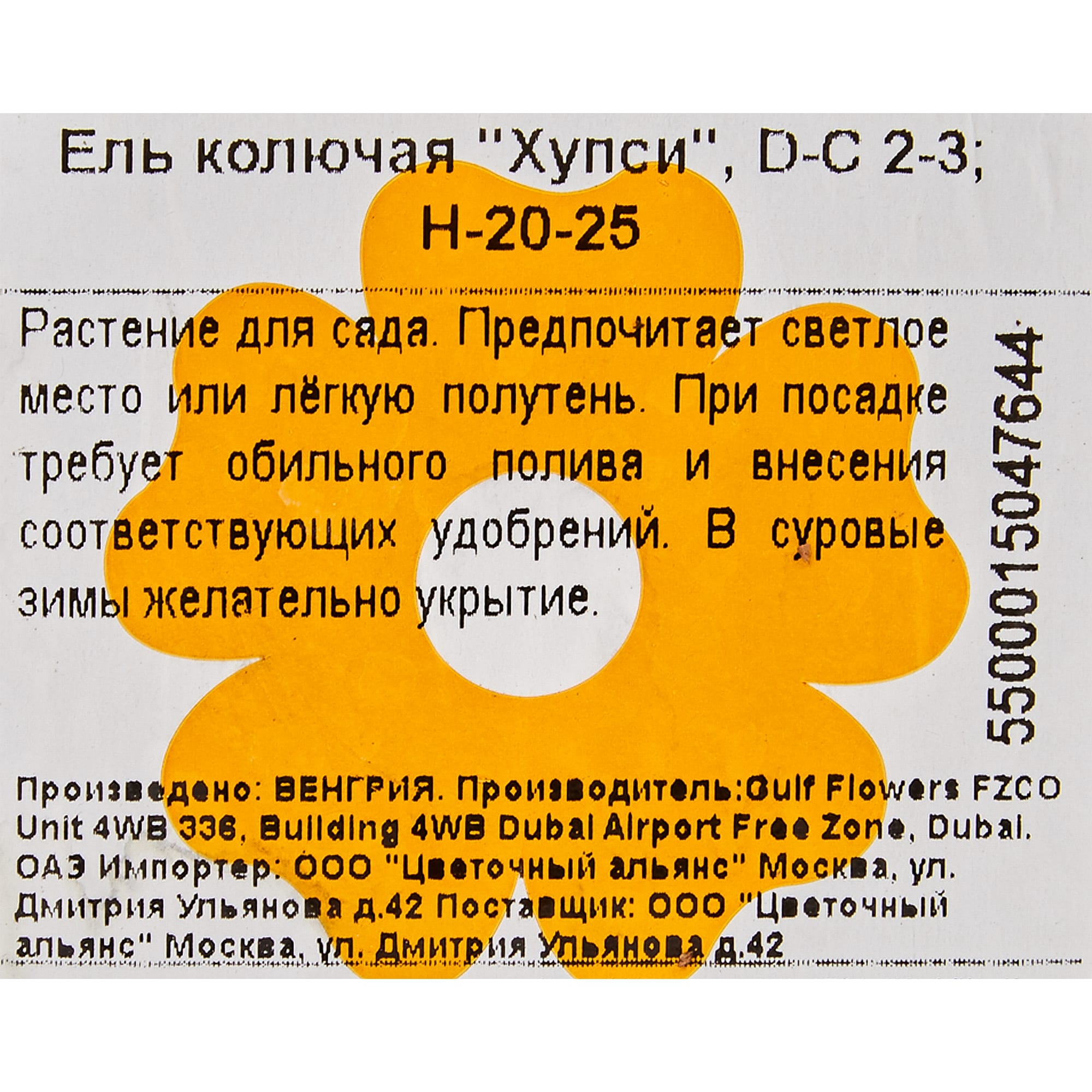 82601626 Ель колючая «Хупси» 17x20 см Santreyd  - Вид №2