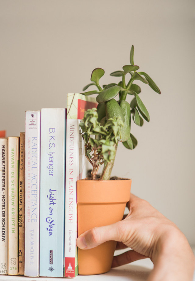 SK BOOKPLANT2 Держатель для книг plant pot Suck UK  - Вид №5