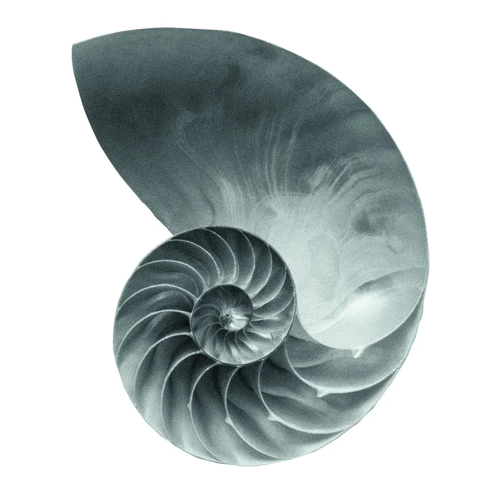 Santreyd Постер «Золотое сечение» 30×40 см в дизайнерском стиле 83308742 STLM-0040351