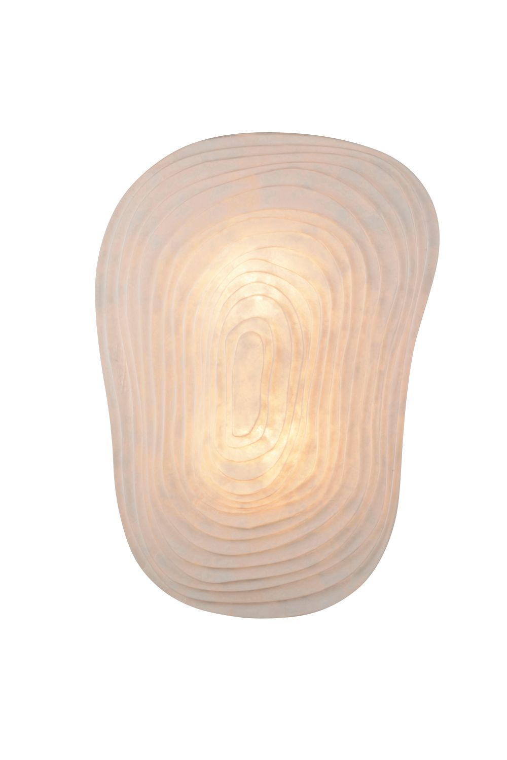 Шелковый светодиодный настенный светильник Forestier Nebulis ARCH-00148161 - Вид №1