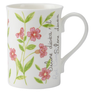 P_0043.007pk Кружка botanic 300 мл розовая Price&Kensington