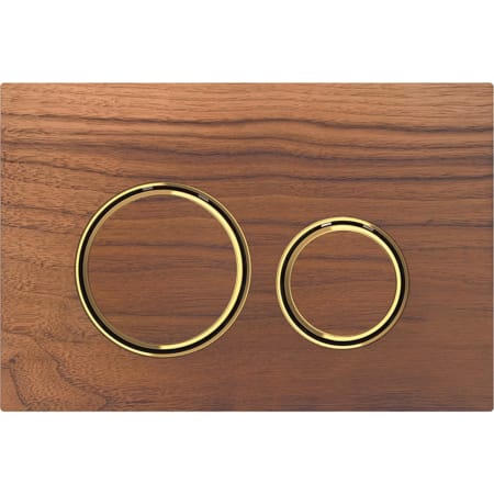 115.652.SJ.1 Смывная клавиша Geberit Sigma21, для двойного смыва, цвет металлический латунь Geberit  - Вид №7