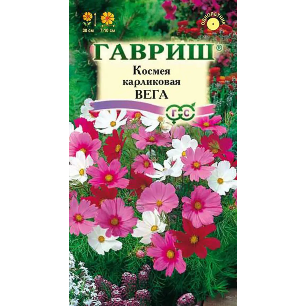 ГАВРИШ Космея Вега - нежные цветы для сада и букетов 83583215 STLM-1581483