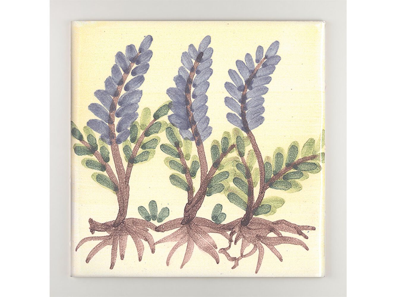 Пол / покрытие ручной работы La Riggiola традиция ARCH-00132710