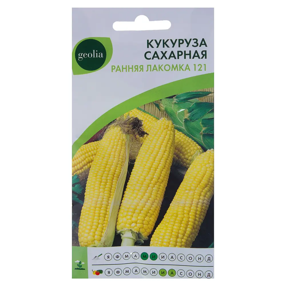 Семена кукурузы Geolia Ранняя лакомка - сладкий ранний сорт 17585359 STLM-0008371