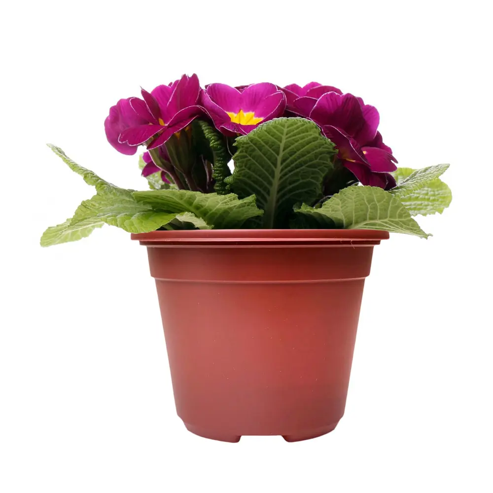 ГАЗОНCITY — набор горшков для рассады из полистирола, 10 штук 89344247 STLM-1393533 - Вид №2