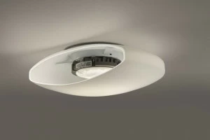 Vetreria Vistosi Потолочный светильник из сатинированного стекла Moris