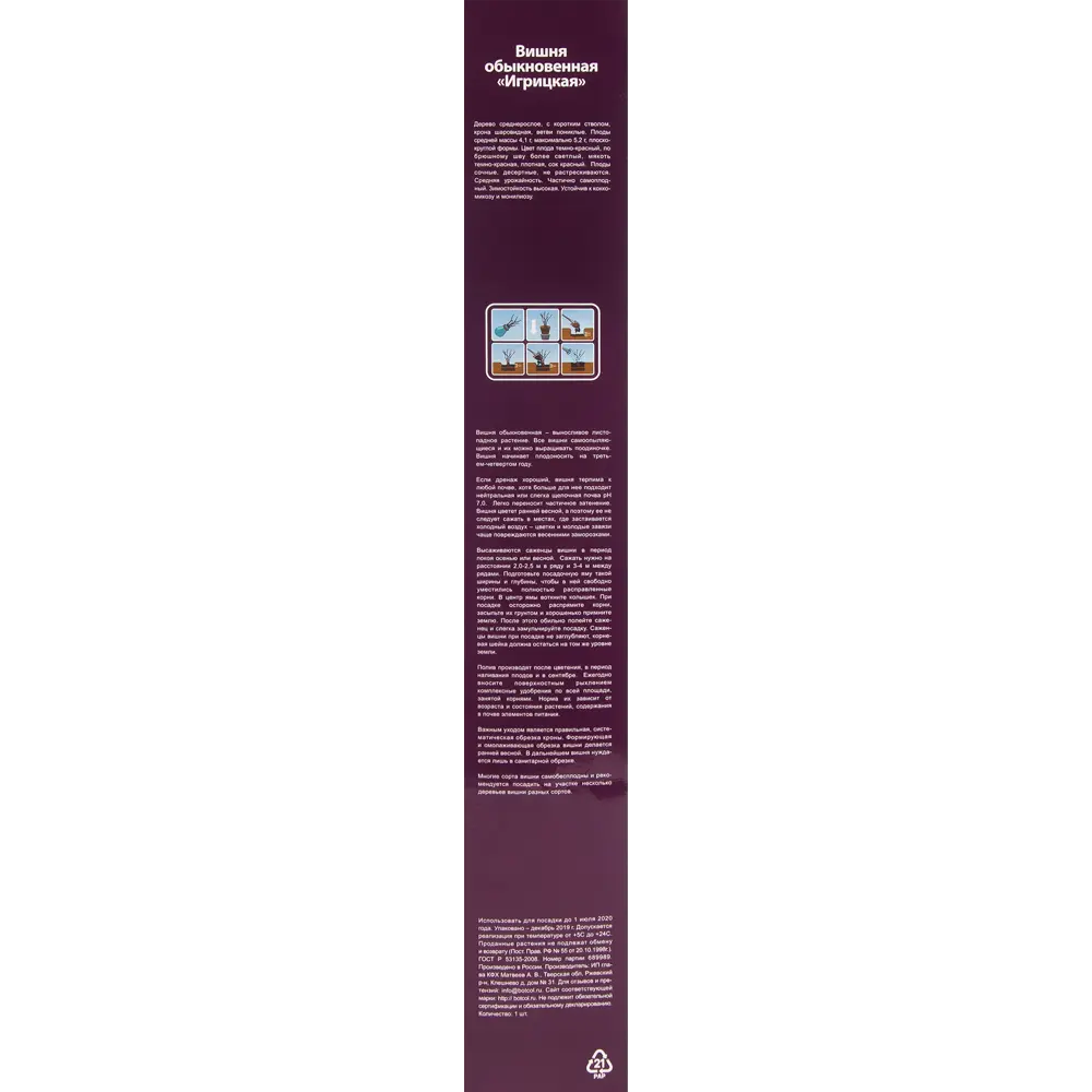 Вишня Игрицкая в тубе 82539557 STLM-2057034 BOTANIC COLLECTION  - Вид №1