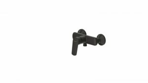 Смеситель для душа Rhein F9429564BW-01-ENG bravat