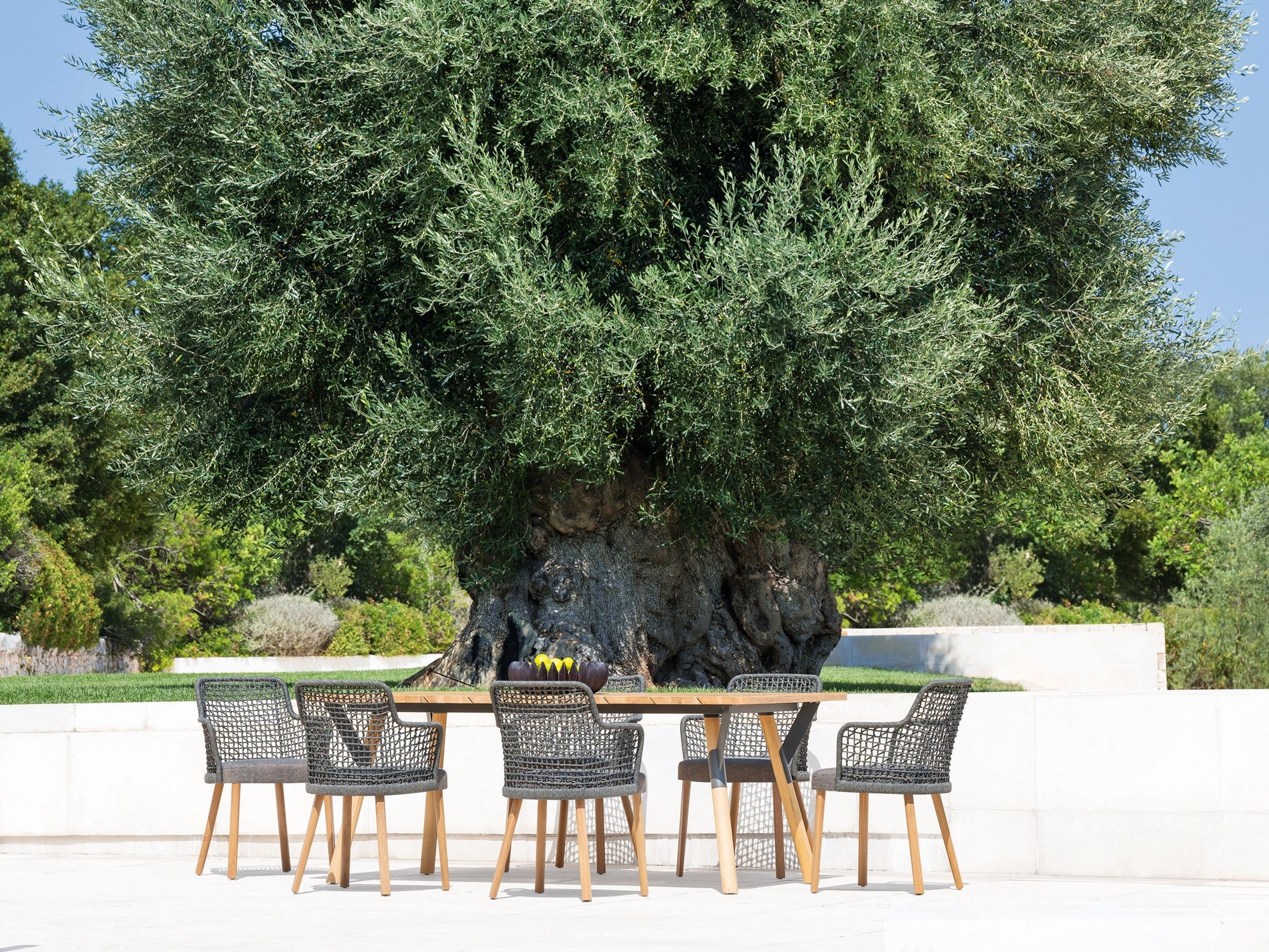 Алюминиевый стул с порошковым покрытием с подлокотниками Varaschin Эмма ARCH-00068597 - Вид №16