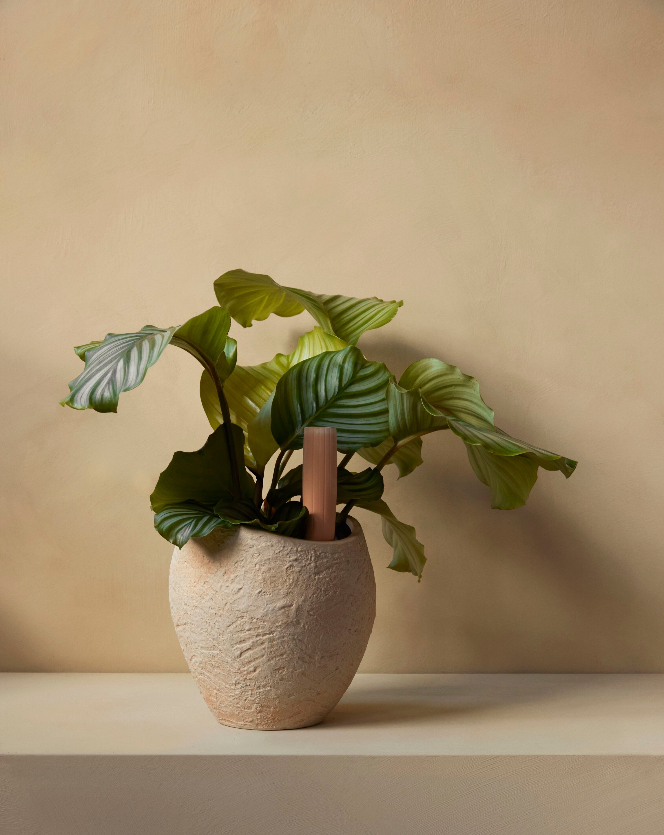 Сеялка из керамогранита Audo Copenhagen PLANTAS ARCH-00023630 - Вид №29