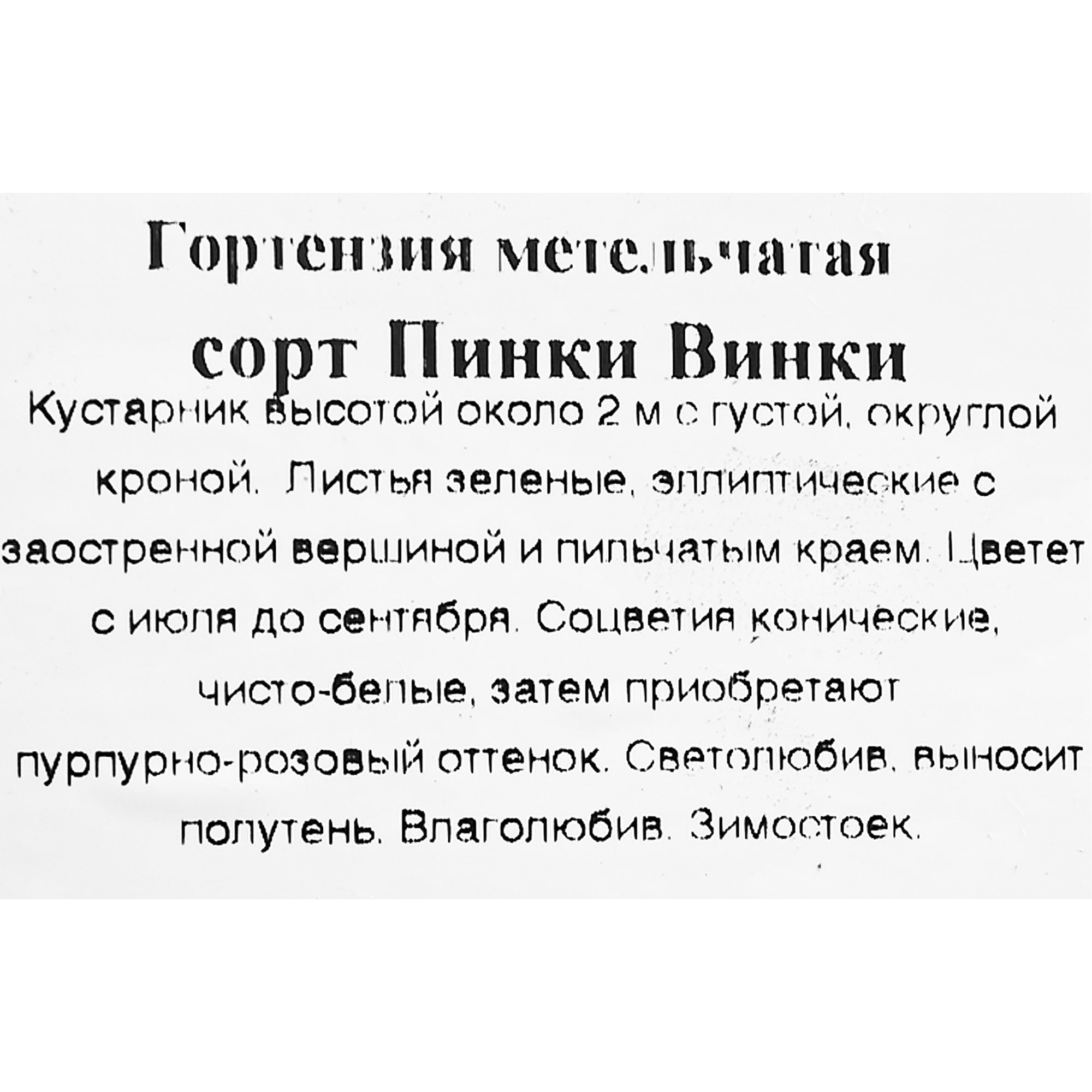 83539225 Гортензия метельчатая Пинки Винки 9x30 см Santreyd  - Вид №2