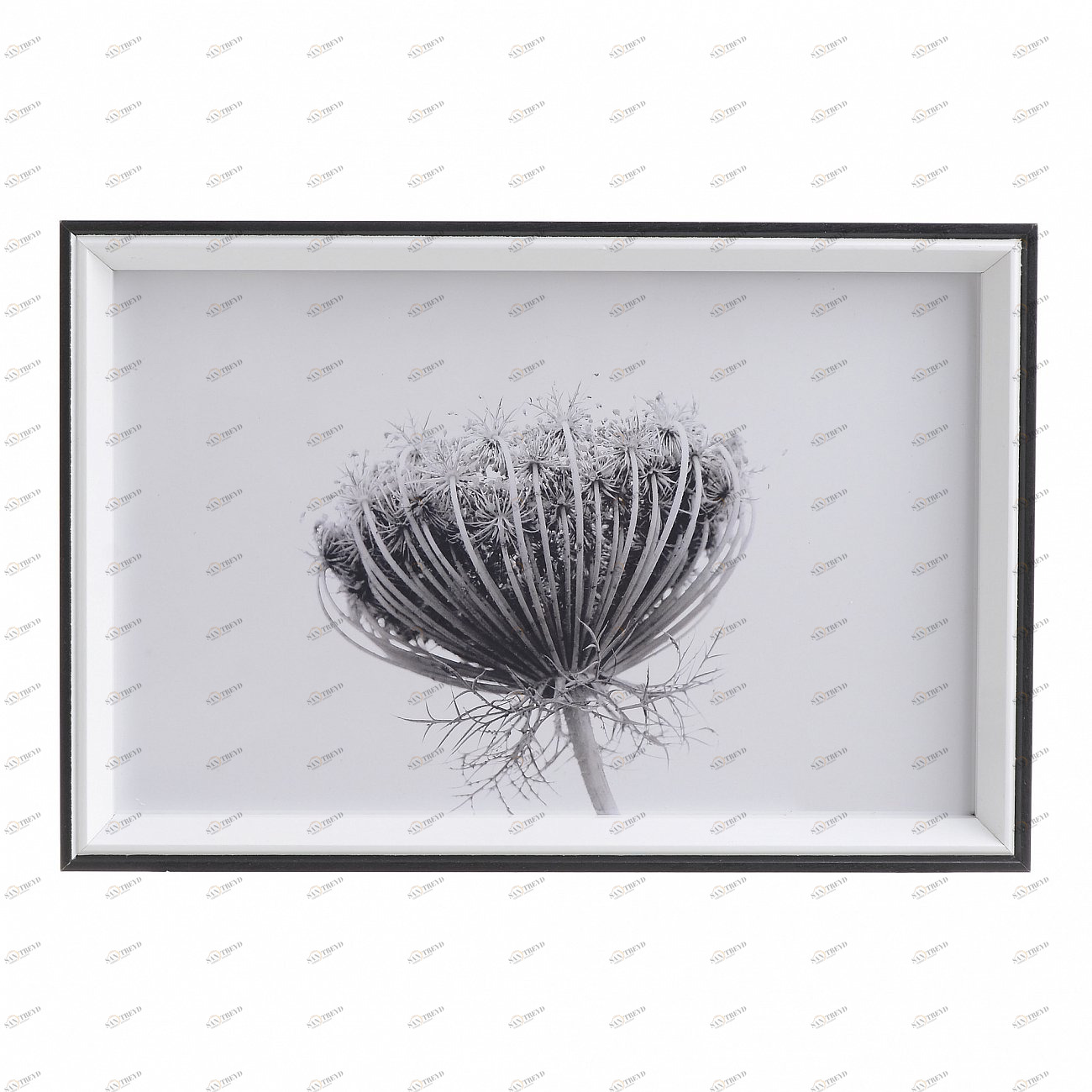 Постер в раме черно-белый 30х20 см Scandinavian Password TO4ROOMS ЦВЕТЫ 00-3893363 Черно-белый 