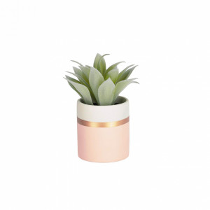 089919 Flower Агава в розовом керамическом горшке La Forma Agave