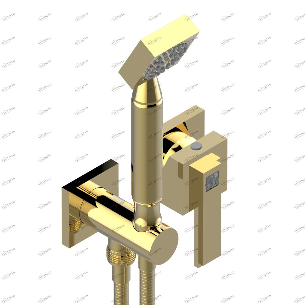 A2R-6561B Trim only for wall mixer with complete handshower on hook Thg-paris Masque de Femme, lunaire Золото A2R 6561B CAT.F