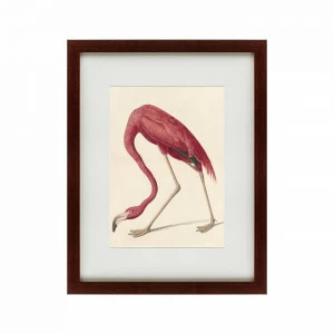 Картина в раме 60х47 см "Американский фламинго, 1822 г" КАРТИНЫ В КВАРТИРУ  135772 Розовый